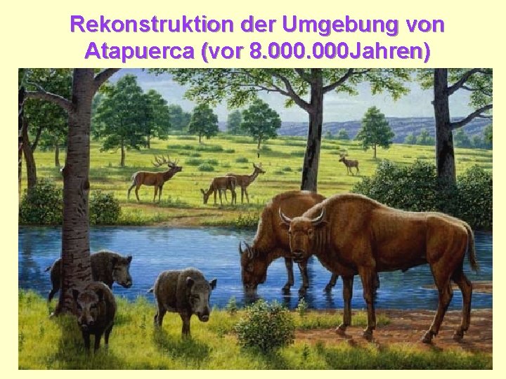 Rekonstruktion der Umgebung von Atapuerca (vor 8. 000 Jahren) 