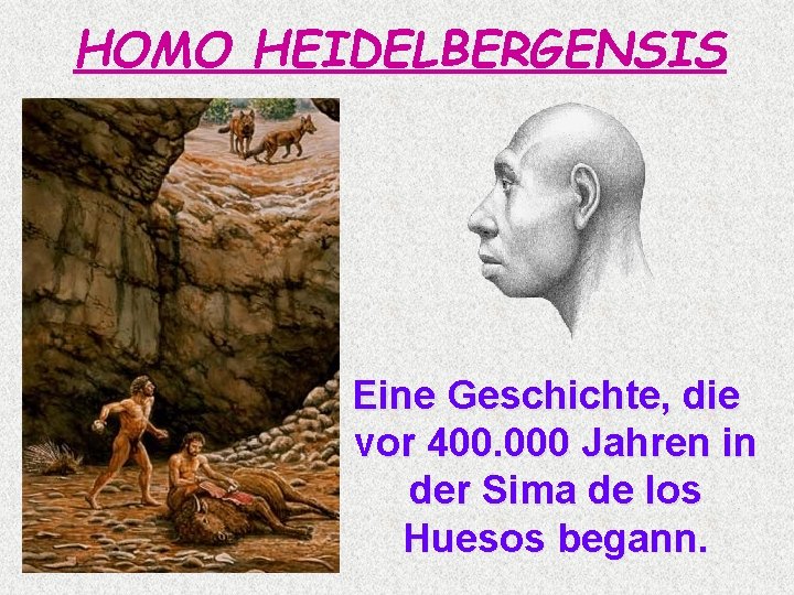 HOMO HEIDELBERGENSIS Eine Geschichte, die vor 400. 000 Jahren in der Sima de los