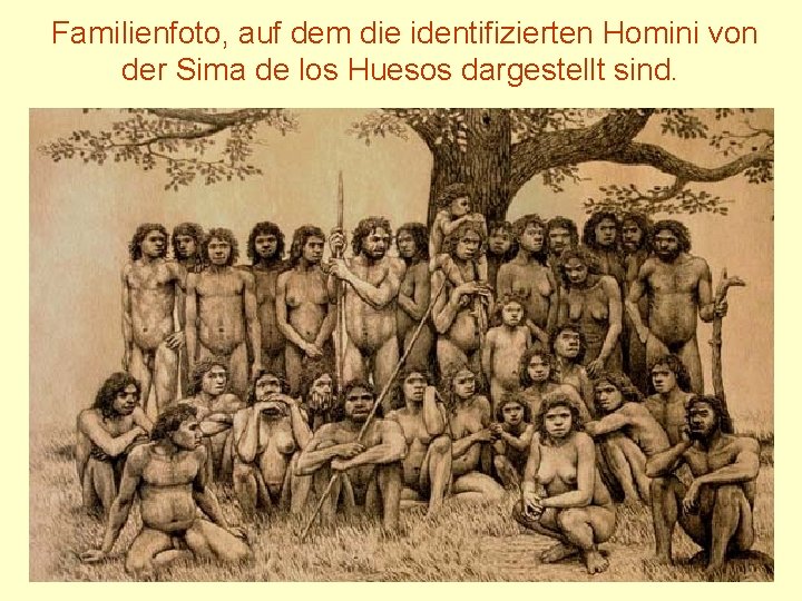 Familienfoto, auf dem die identifizierten Homini von der Sima de los Huesos dargestellt sind.