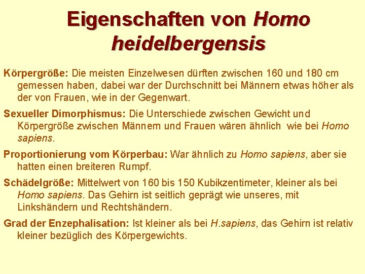Eigenschaften von Homo heidelbergensis Körpergröße: Die meisten Einzelwesen dürften zwischen 160 und 180 cm