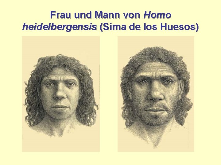 Frau und Mann von Homo heidelbergensis (Sima de los Huesos) 