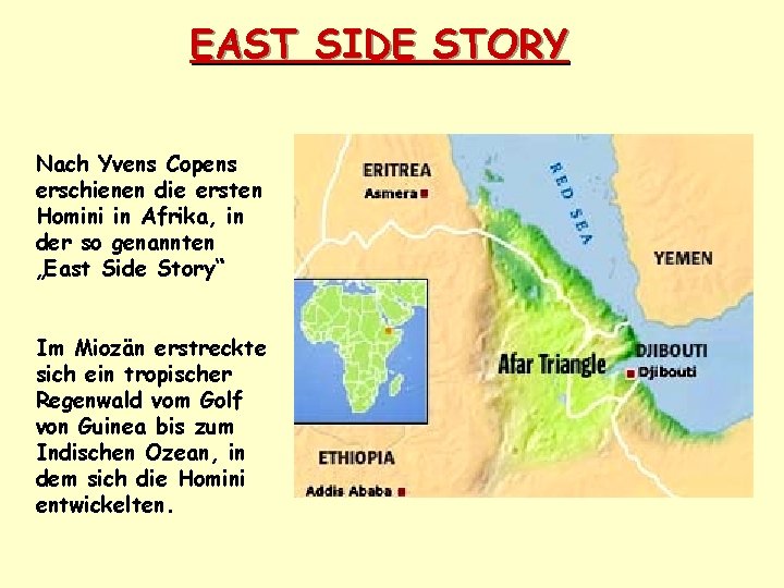 EAST SIDE STORY Nach Yvens Copens erschienen die ersten Homini in Afrika, in der