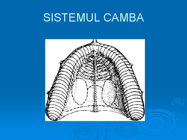 SISTEMUL CAMBA 