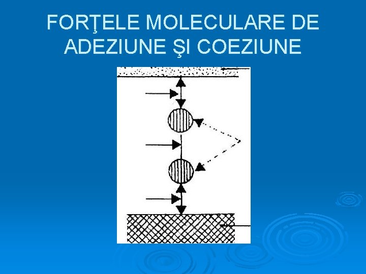 FORŢELE MOLECULARE DE ADEZIUNE ŞI COEZIUNE 