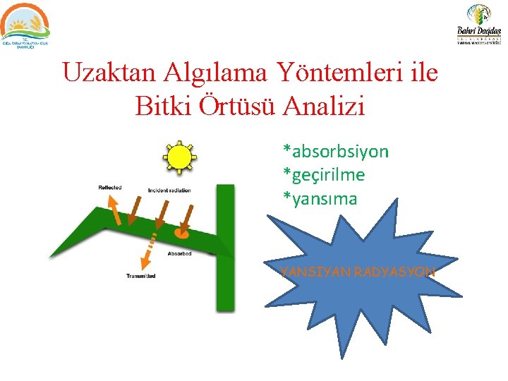 Uzaktan Algılama Yöntemleri ile Bitki Örtüsü Analizi *absorbsiyon *geçirilme *yansıma YANSIYAN RADYASYON 