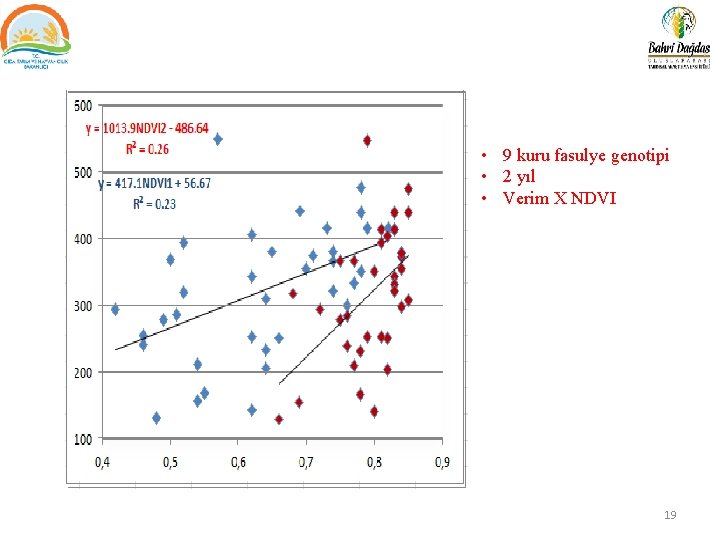  • 9 kuru fasulye genotipi • 2 yıl • Verim X NDVI 19