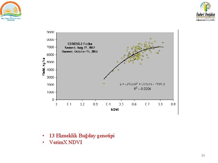  • 13 Ekmeklik Buğday genotipi • Verim. X NDVI 24 