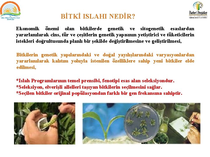 BİTKİ ISLAHI NEDİR? Ekonomik önemi olan bitkilerde genetik ve sitogenetik esaslardan yararlanılarak cins, tür