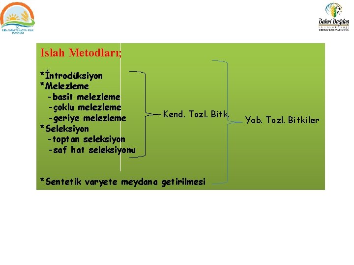 Islah Metodları; *İntrodüksiyon *Melezleme -basit melezleme -çoklu melezleme -geriye melezleme *Seleksiyon -toptan seleksiyon -saf