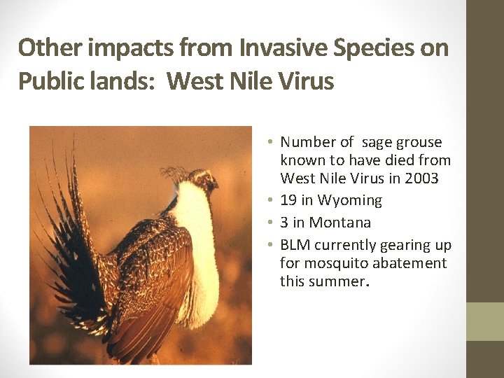 Other impacts from Invasive Species on Public lands: West Nile Virus • Number of