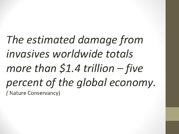 The estimated damage from invasives worldwide totals more than $1. 4 trillion – five