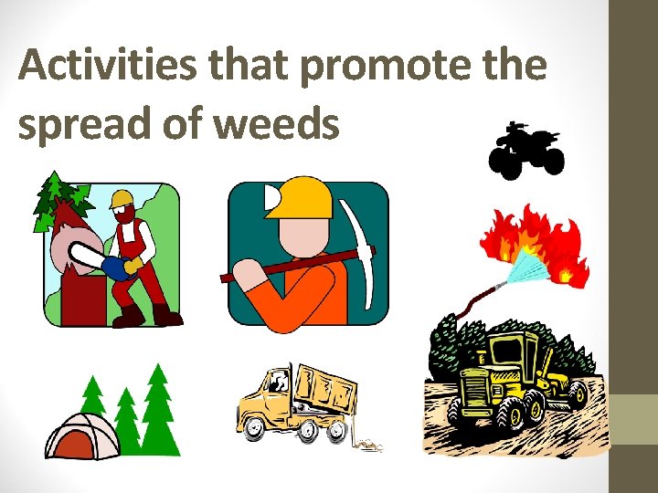 Activities that promote the spread of weeds 