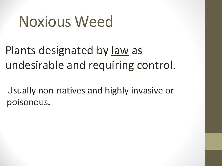 Noxious Weed Plants designated by law as undesirable and requiring control. Usually non-natives and