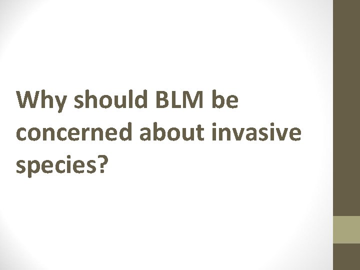Why should BLM be concerned about invasive species? 