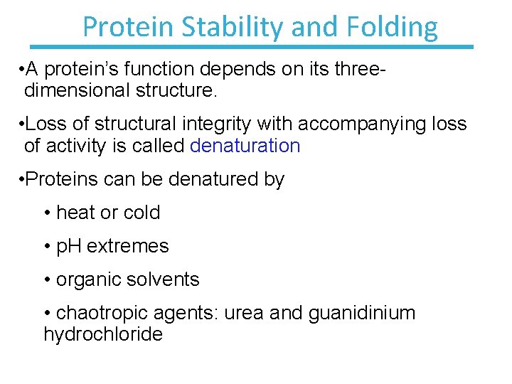 Protein Stability and Folding • A protein’s function depends on its threedimensional structure. •