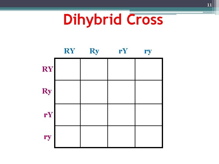 11 Dihybrid Cross RY RY Ry r. Y ry 