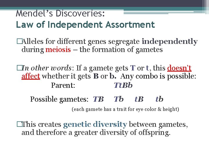 Mendel’s Discoveries: Law of Independent Assortment �Alleles for different genes segregate independently during meiosis