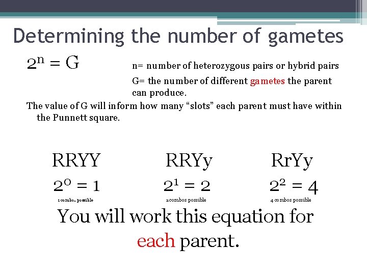 Determining the number of gametes 2 n = G n= number of heterozygous pairs