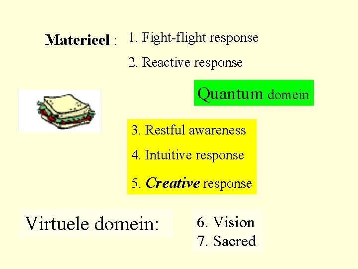 Materieel : 1. Fight-flight response 2. Reactive response Quantum domein 3. Restful awareness 4.