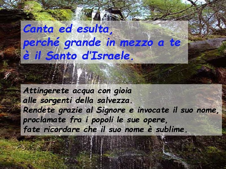 Canta ed esulta, perché grande in mezzo a te è il Santo d’Israele. Attingerete