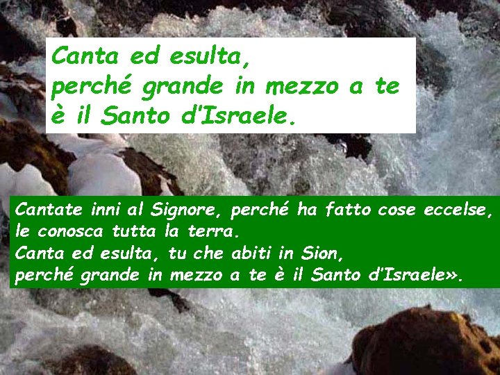 Canta ed esulta, perché grande in mezzo a te è il Santo d’Israele. Cantate