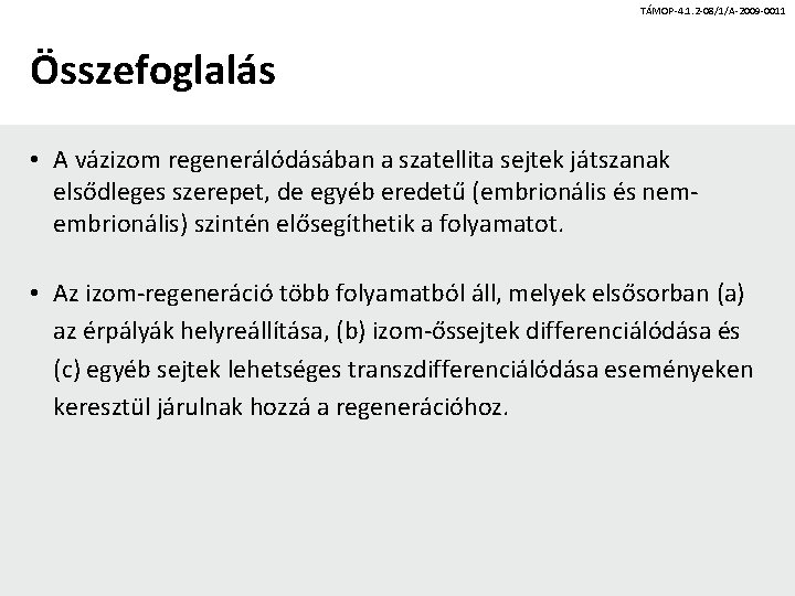 TÁMOP-4. 1. 2 -08/1/A-2009 -0011 Összefoglalás • A vázizom regenerálódásában a szatellita sejtek játszanak