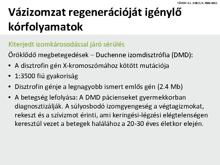 TÁMOP-4. 1. 2 -08/1/A-2009 -0011 Vázizomzat regenerációját igénylő kórfolyamatok Kiterjedt izomkárosodással járó sérülés Öröklődő