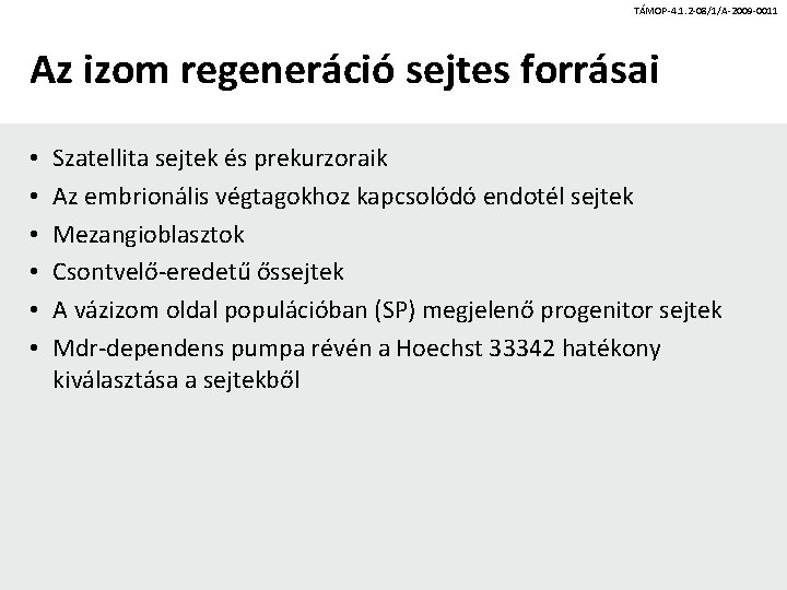 TÁMOP-4. 1. 2 -08/1/A-2009 -0011 Az izom regeneráció sejtes forrásai • • • Szatellita