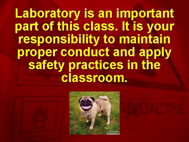 Slide 1 Laboratory Safety Slide 2 Safety in