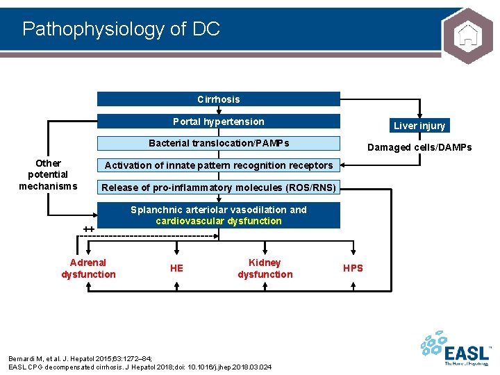Pathophysiology of DC Cirrhosis Other potential mechanisms Portal hypertension Liver injury Bacterial translocation/PAMPs Damaged