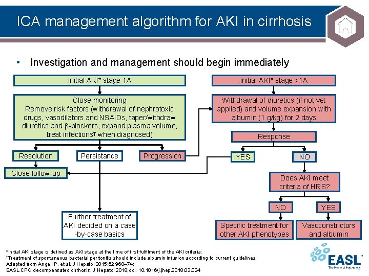 ICA management algorithm for AKI in cirrhosis • Investigation and management should begin immediately