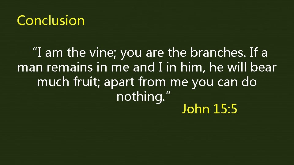 Conclusion “I am the vine; you are the branches. If a man remains in