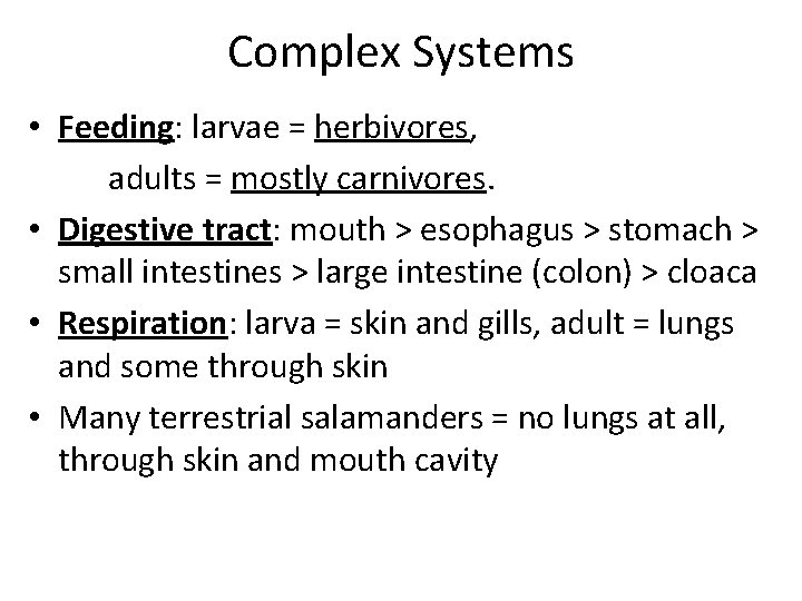 Complex Systems • Feeding: larvae = herbivores, adults = mostly carnivores. • Digestive tract: