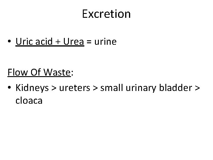 Excretion • Uric acid + Urea = urine Flow Of Waste: • Kidneys >