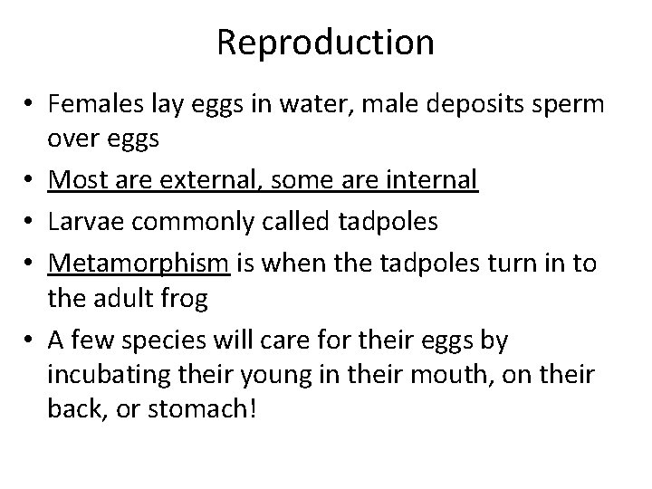 Reproduction • Females lay eggs in water, male deposits sperm over eggs • Most