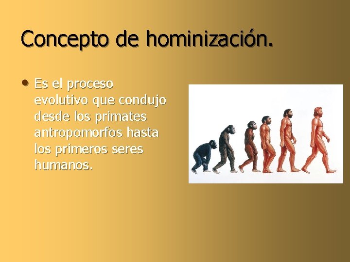Concepto de hominización. • Es el proceso evolutivo que condujo desde los primates antropomorfos