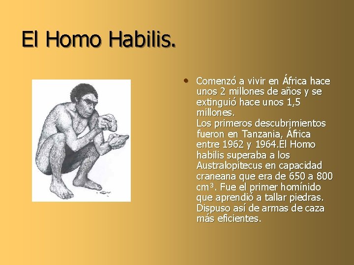 El Homo Habilis. • Comenzó a vivir en África hace unos 2 millones de