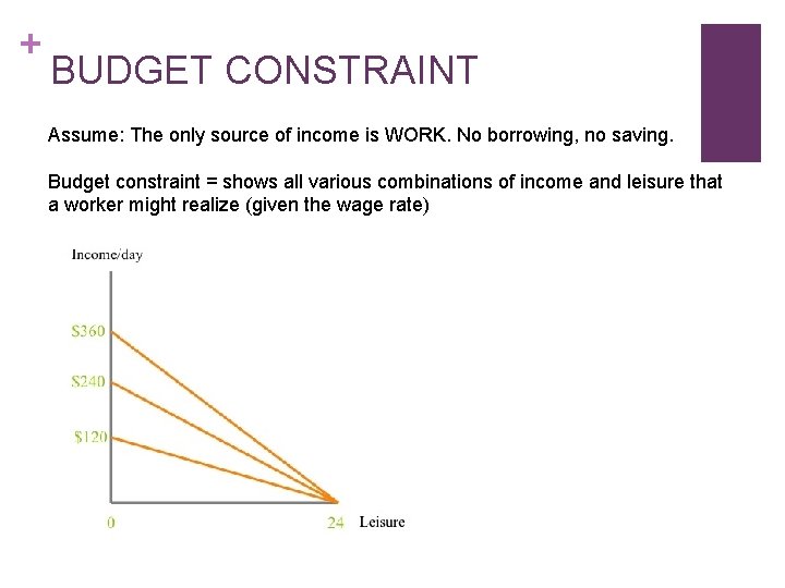 + BUDGET CONSTRAINT Assume: The only source of income is WORK. No borrowing, no