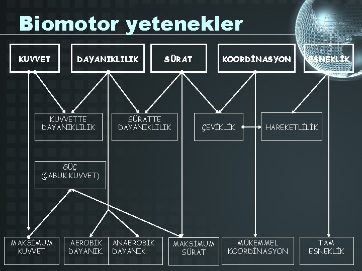 Biomotor yetenekler KUVVET DAYANIKLILIK KUVVETTE DAYANIKLILIK SÜRATTE DAYANIKLILIK KOORDİNASYON ÇEVİKLİK ESNEKLİK HAREKETLİLİK GÜÇ (ÇABUK
