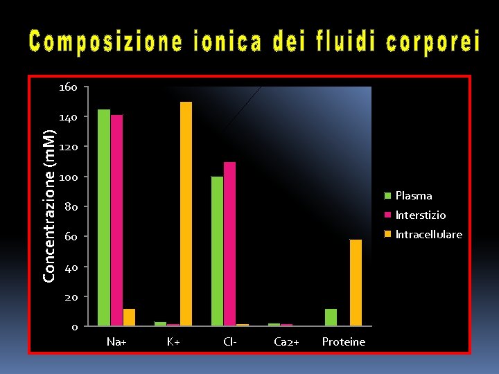 160 Concentrazione (m. M) 140 120 100 Plasma 80 Interstizio Intracellulare 60 + 40
