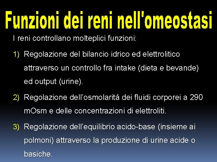 I reni controllano molteplici funzioni: 1) Regolazione del bilancio idrico ed elettrolitico attraverso un