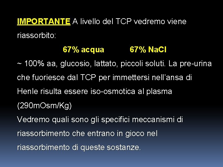 IMPORTANTE A livello del TCP vedremo viene riassorbito: 67% acqua 67% Na. Cl ~