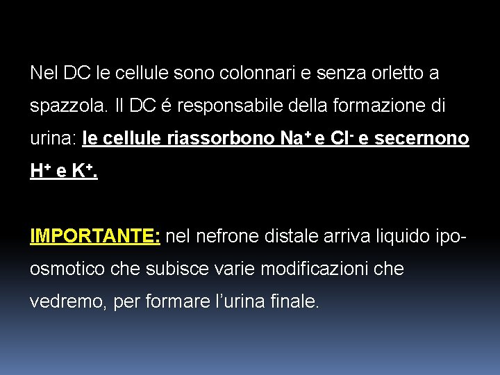 Nel DC le cellule sono colonnari e senza orletto a spazzola. Il DC é