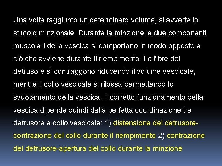 Una volta raggiunto un determinato volume, si avverte lo stimolo minzionale. Durante la minzione