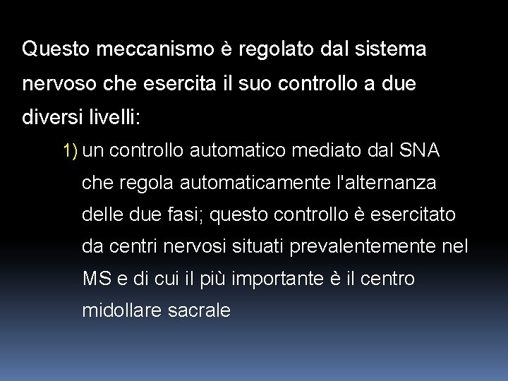 Questo meccanismo è regolato dal sistema nervoso che esercita il suo controllo a due