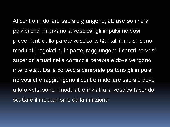 Al centro midollare sacrale giungono, attraverso i nervi pelvici che innervano la vescica, gli