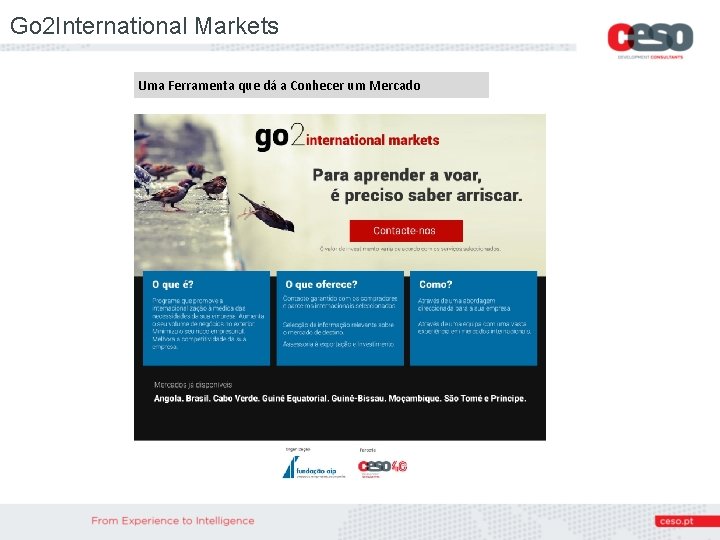 Go 2 International Markets Uma Ferramenta que dá a Conhecer um Mercado 