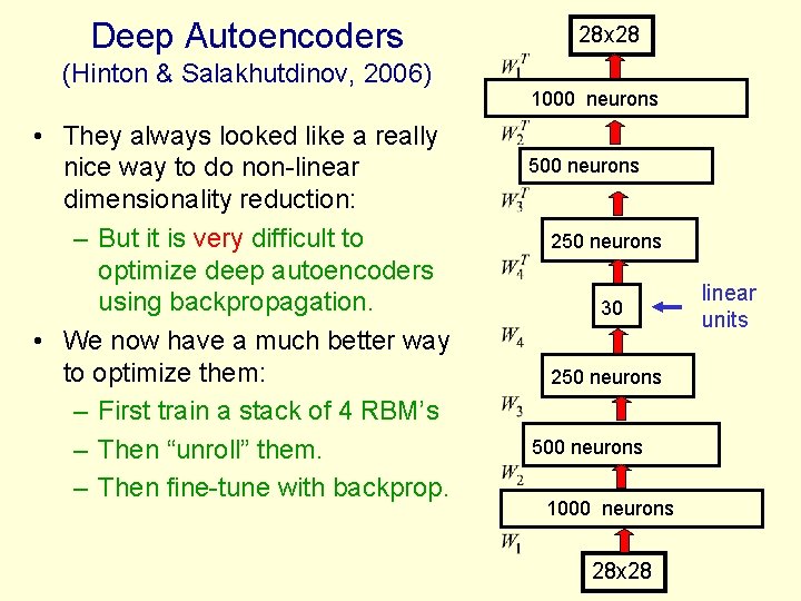 Deep Autoencoders (Hinton & Salakhutdinov, 2006) • They always looked like a really nice
