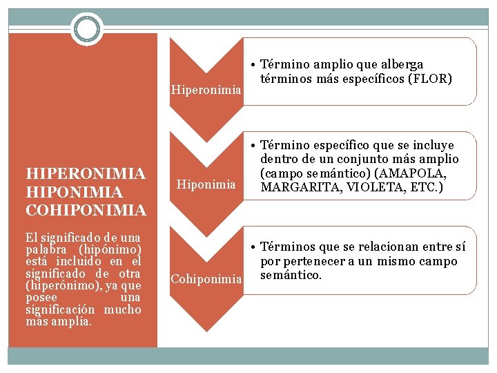 Hiperonimia HIPERONIMIA HIPONIMIA COHIPONIMIA El significado de una palabra (hipónimo) está incluido en el