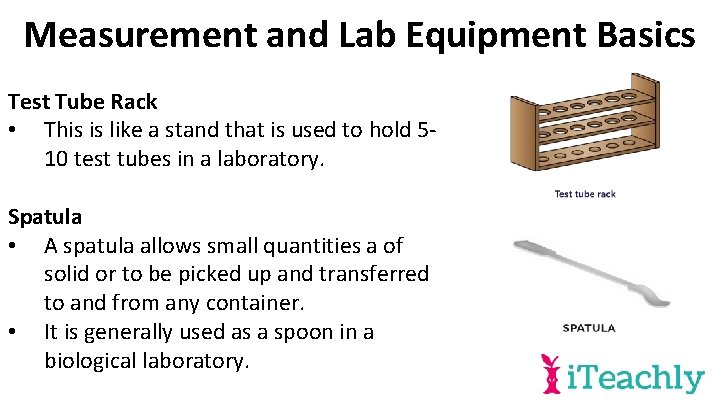 Measurement and Lab Equipment Basics Test Tube Rack • This is like a stand